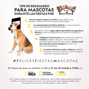 FELICES FIESTAS, MASCOTAS