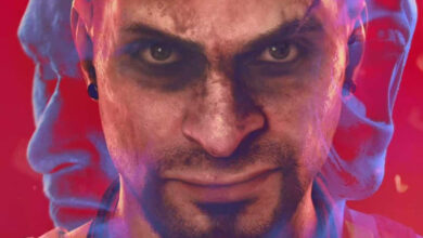 Vaas Insanity