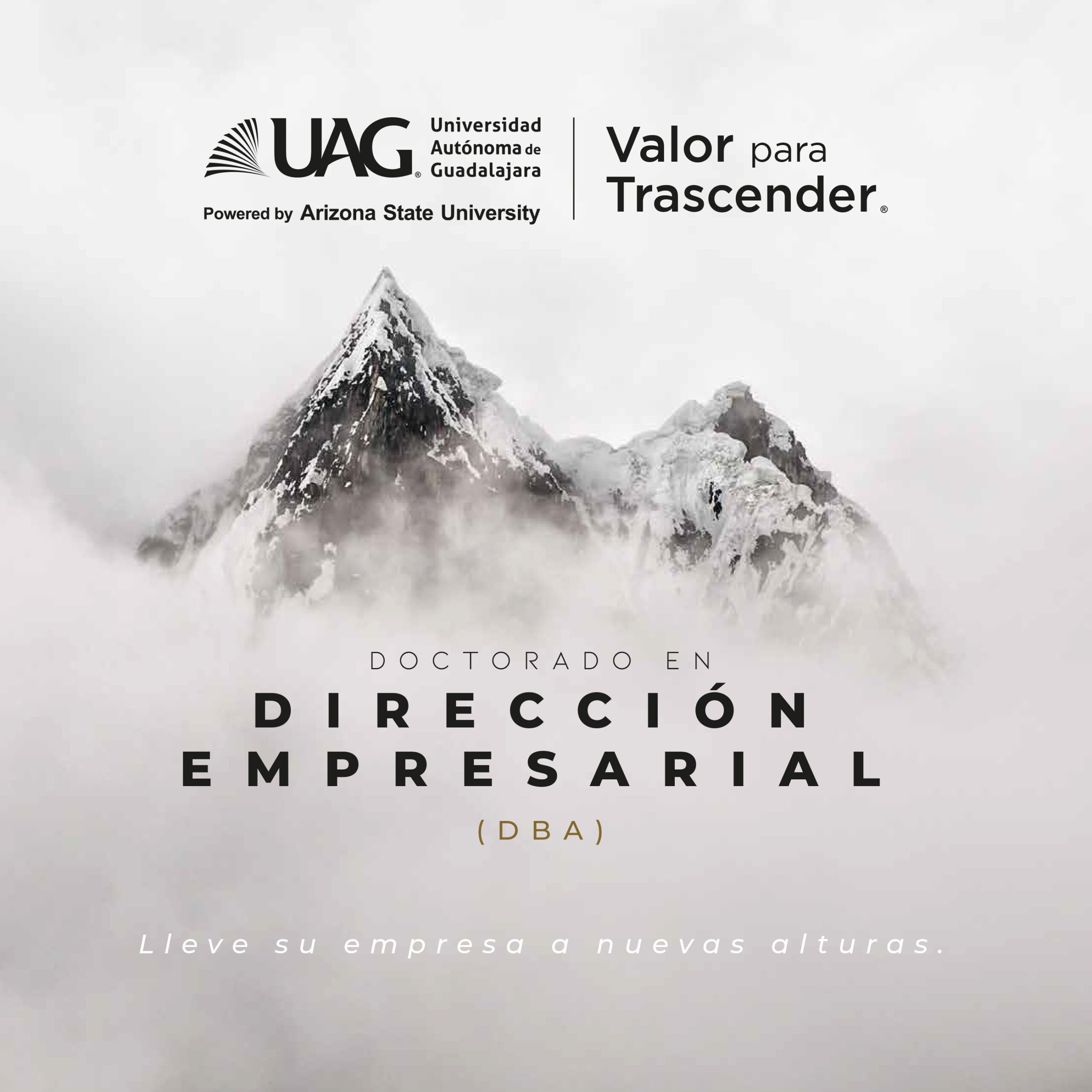UAG Direccion empresarial