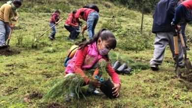 BioBaby, es una marca de pañales premium para bebé ecológicamente responsable