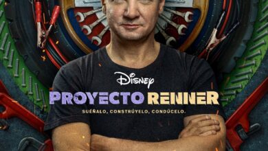 Proyecto Renner