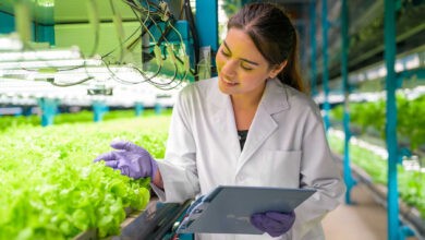 Ingeniero Empresarial Agropecuario