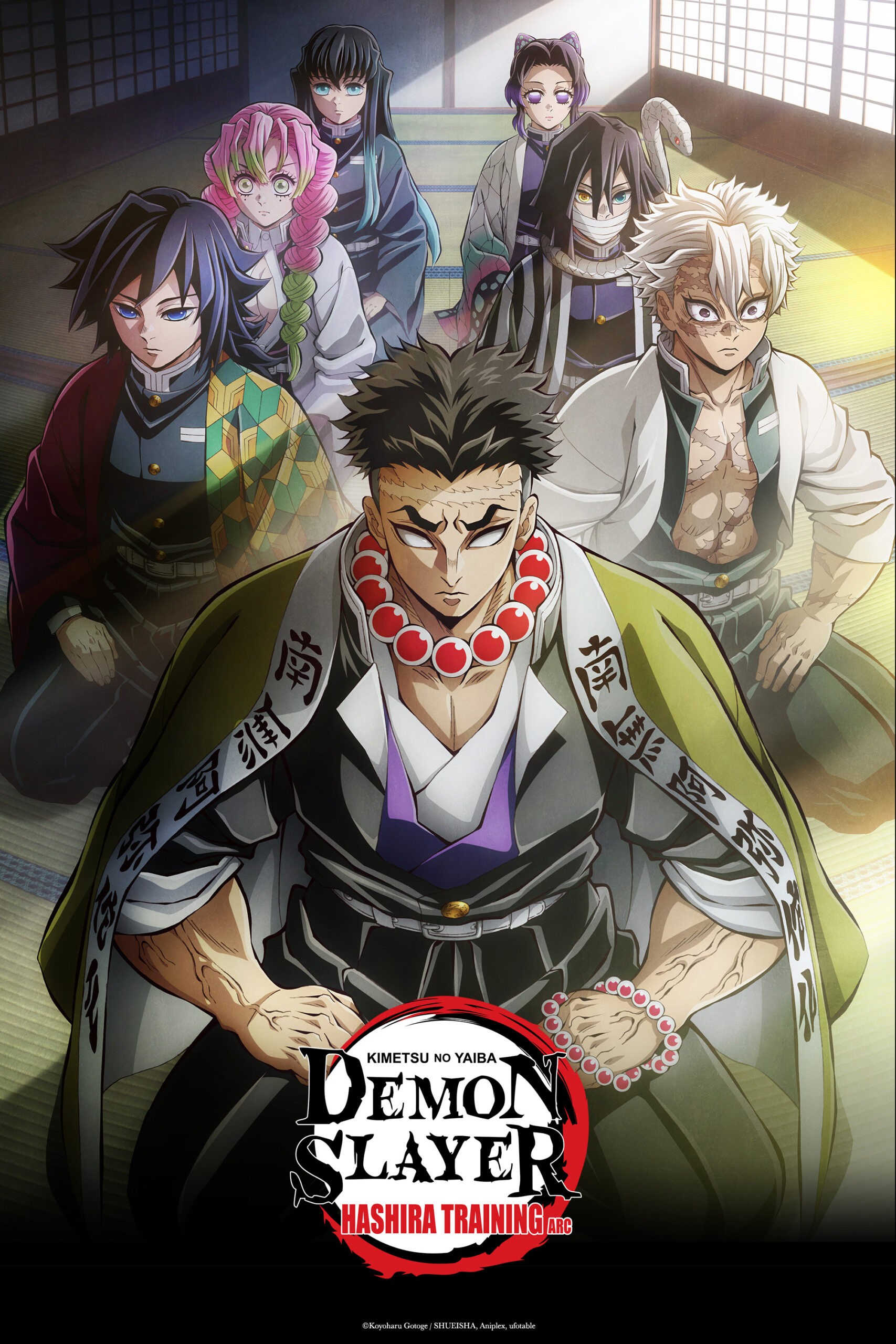 DEMON SLAYER: KIMETSU NO YAIBA HASHIRA TRAINING ARC