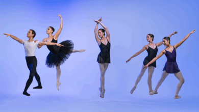 Celebra la Danza