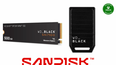 Sandisk