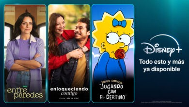 Roku Disney+