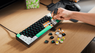 Reclusa X Mini